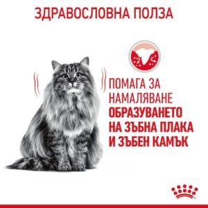 Royal Canin Dental Care – Суха храна за котки против зъбен камък и за орална хигиена