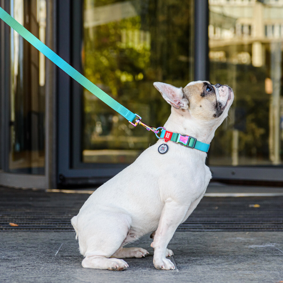 WAUDOG Nylon Recycled - Повод за куче Син - Image 3