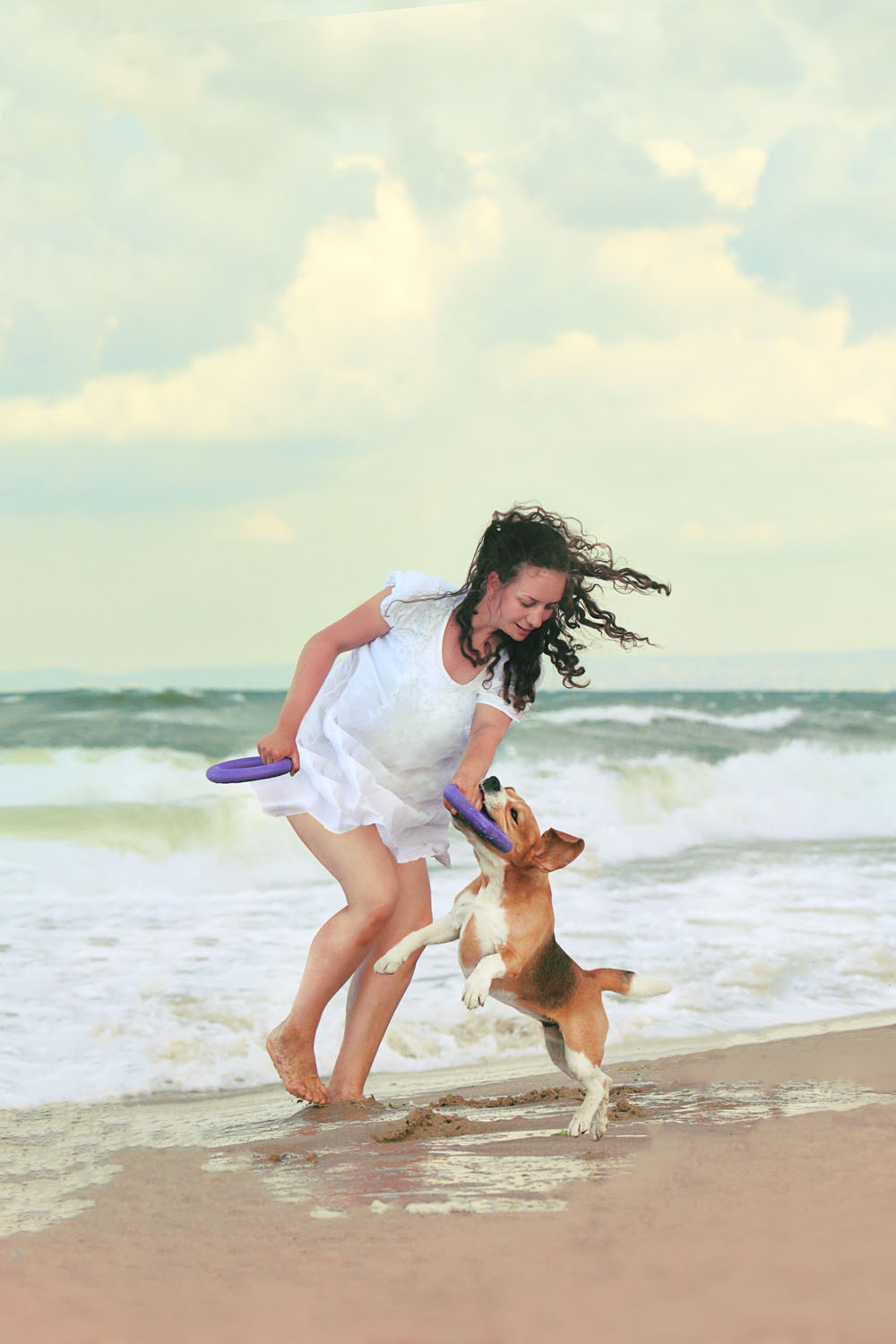 Puller - тренировъчна играчка ринг за куче 2бр - Image 3