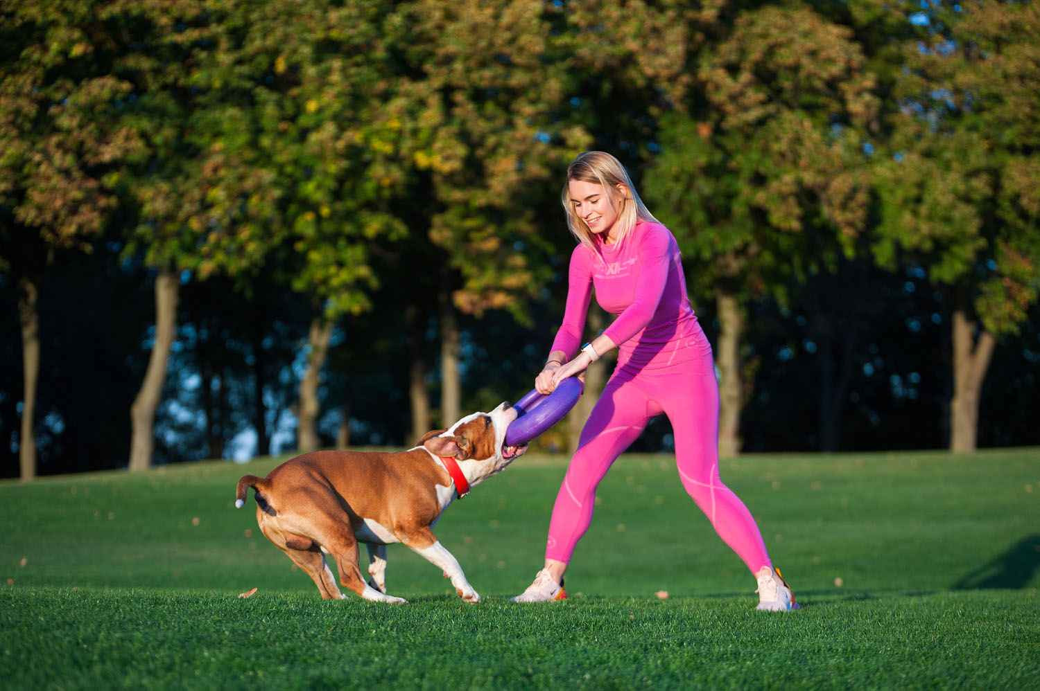 Puller - тренировъчна играчка ринг за куче 2бр - Image 5