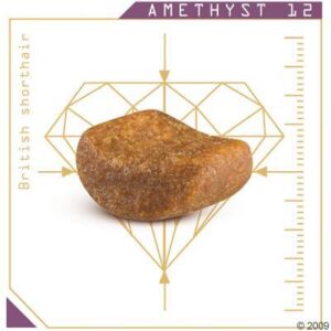 Royal Canin за Британска котка над 12м., 10кг