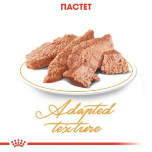 Royal Canin Persian Adult Pouch – Мокра храна пауч пастет за персийски котки над 12 месеца 85 г