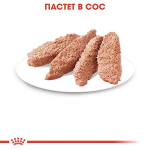 Royal Canin Instinctive Loaf – Мокра храна пауч пастет за котки в зряла възраст 85 г