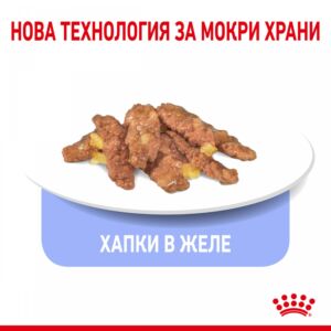 Royal Canin Indoor Sterilised Jelly – Мокра храна пауч за кастрирани котки на закрито 85 г