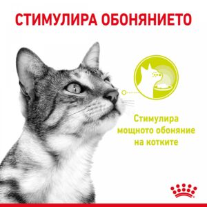 Royal Canin Sensory Taste – Мокра храна пауч с хапки в сос за зрели котки 85 г