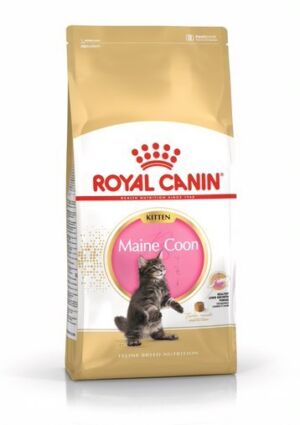 Royal Canin Maine Coon Kitten – Суха храна за малки котенца Мейн Кун до 15 месеца 2 кг