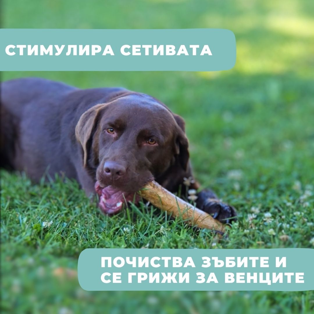 Пръчка за дъвчене от кафеено дърво - Image 3